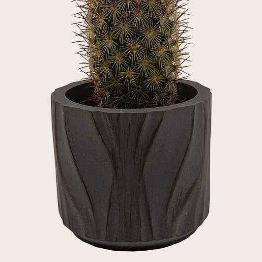 Κασπώ για κάκτους και παχύφυτα (Χρώμα: Charcoal)