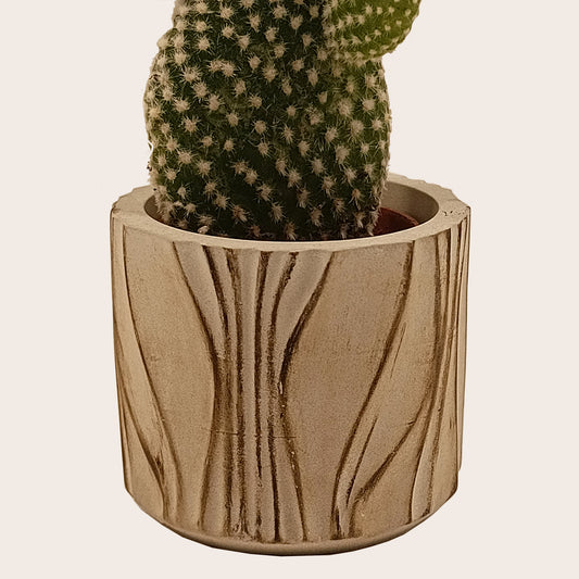 Κασπώ για κάκτους και παχύφυτα (Χρώμα: Toasted Caramel)